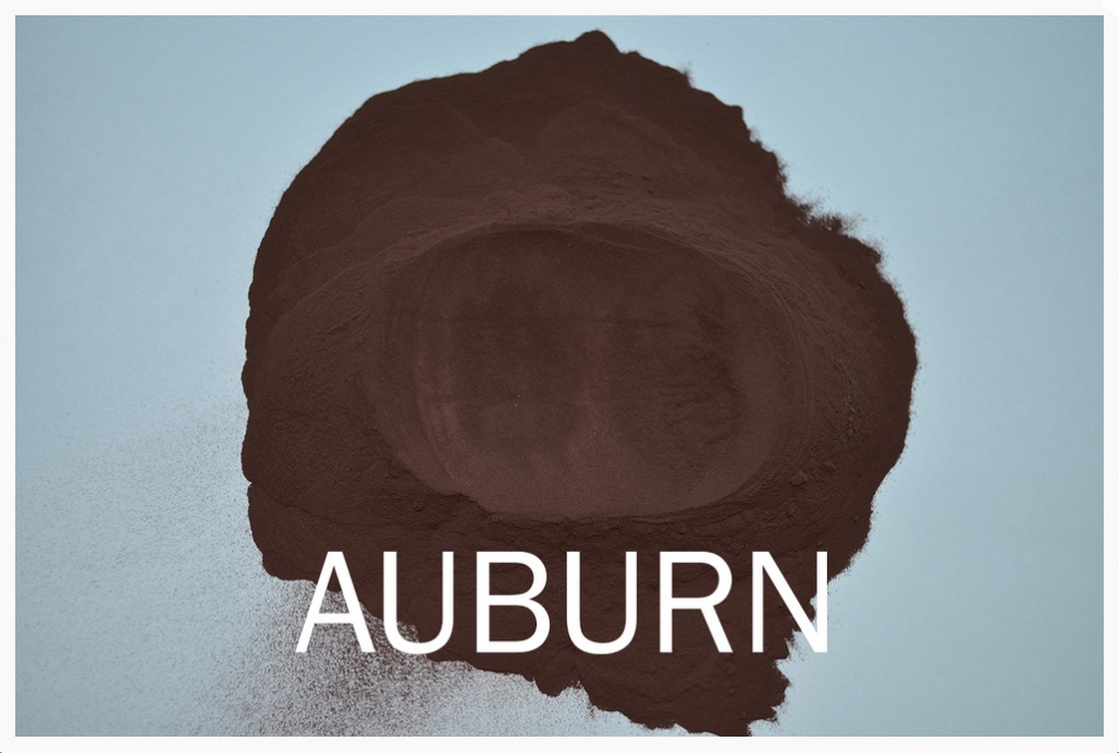 Auburn_ip.jpg